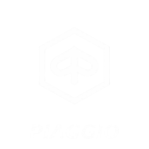 ELECTRIC EDITION PIAGGIO