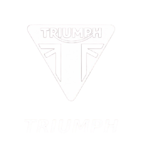 PHONE MOUNT TRIUMPH